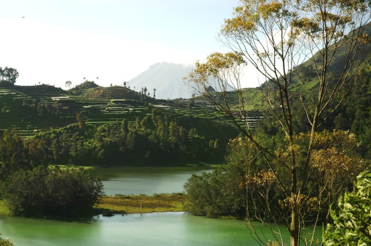 telaga warna dieng
