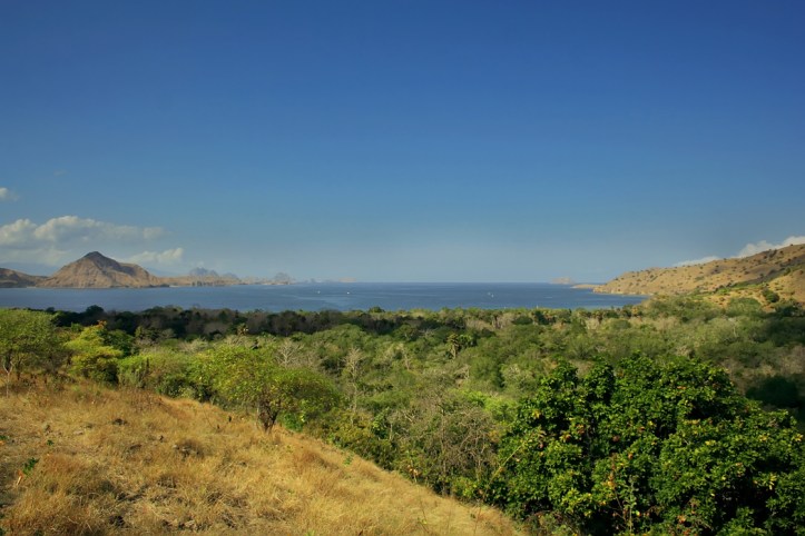 pemandangan dari atas bukit