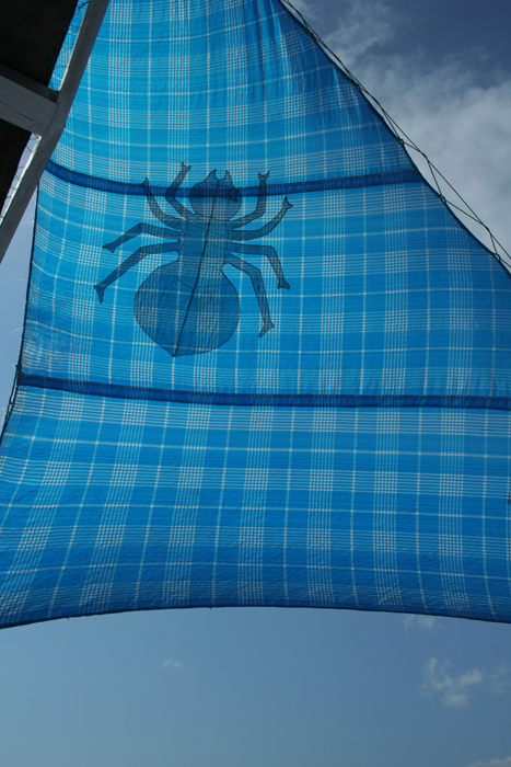 ke pulau komodo dikasih gambar laba2