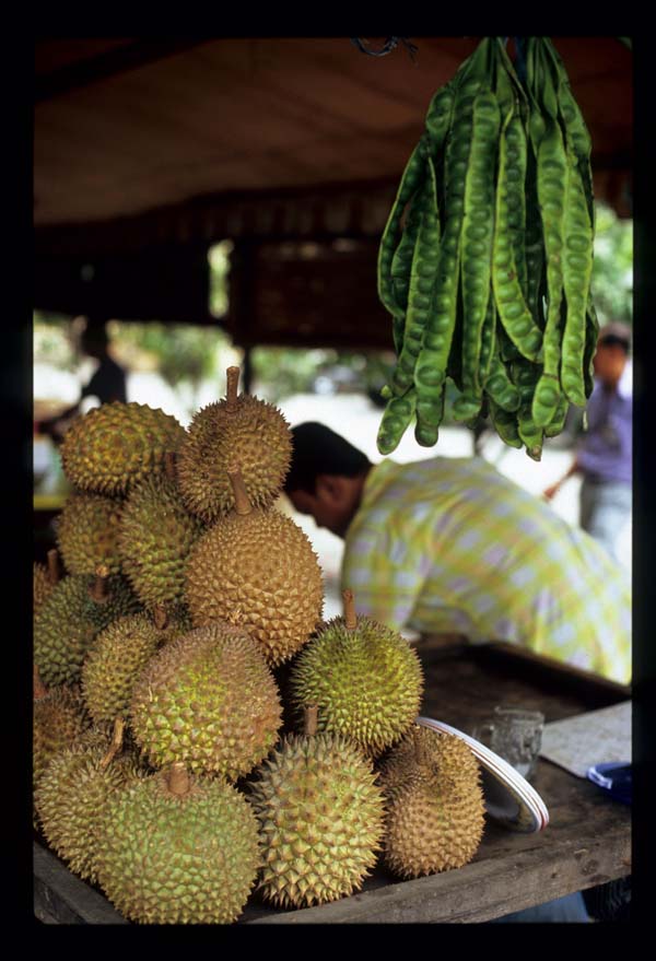 foto taken from www.antarasumut.com