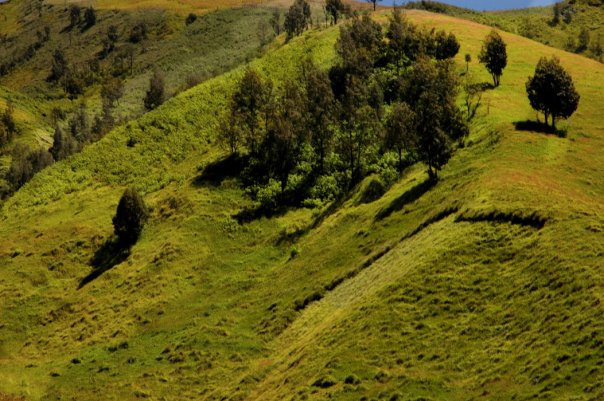 bukit teletubies Bromo