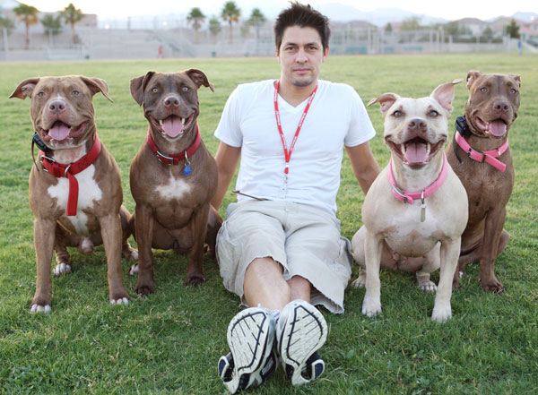 foto taken from www.dogster.com 