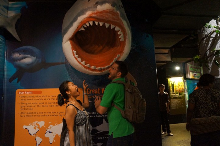 foto was taken by abang2 di aquaria