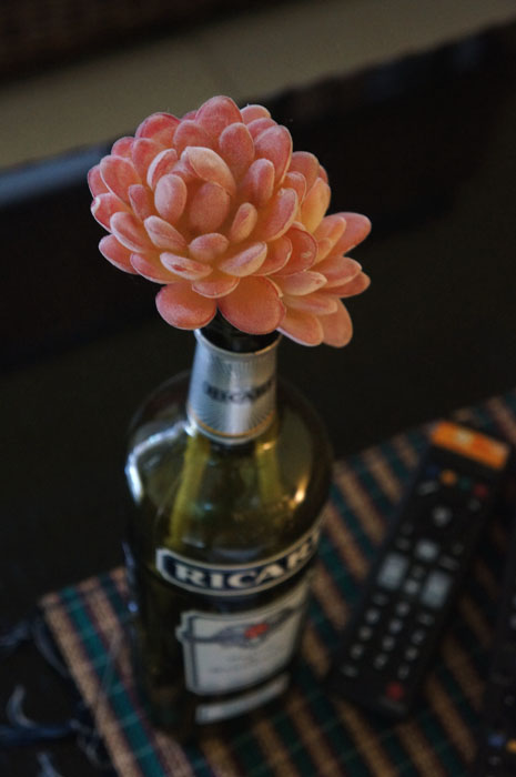 ceritanya saya beli bunga itu di bangkok kemaren, ehhh sampe rumah gak punya vas, yaudah saya minta botol minuman bekas dari double G ( temen Matt ) trus dipake deh. Skr saya jadi penadah botol deh, gegara tiap abis minum double G ngumpulin botolnya untuk saya * ahh aku kan mau isinya hehehe*