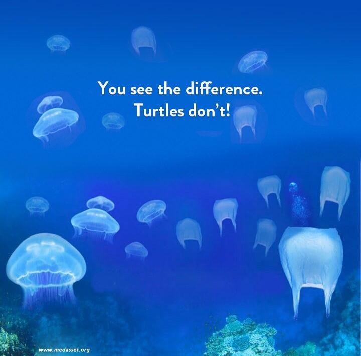 saya aja masih nyari2 yg mana kantong plastik, apalagi penyu/kura2 pasti langsung di hap aja huhu