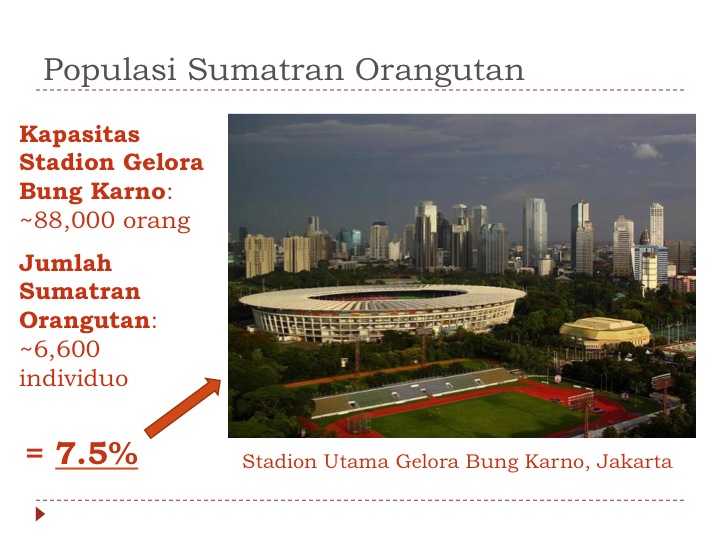 wich et al.2008 saya cuman pinjem gambar presentasi si Matt nih hihi