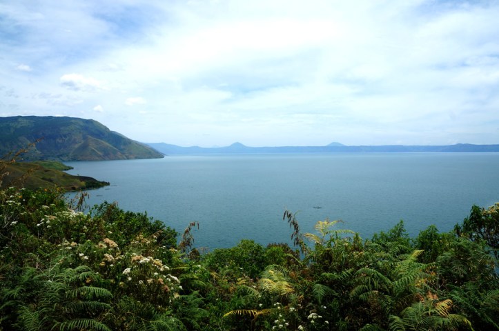 ahhhhhhhhhhhh surgaaaaaaa