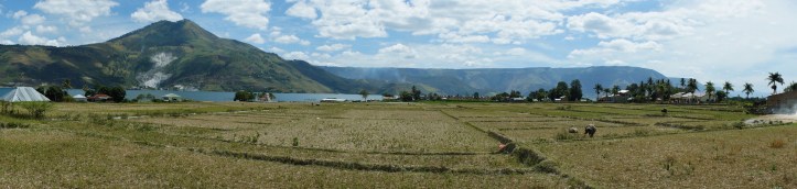 baru abis panen :) kalau datangnya pas musim tanam padi/panen pemandangannya sejutaaaa kali lebih bagus