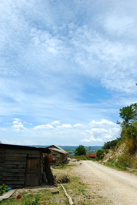 desa kecil di atas pangururan. jalanan kesini jelek banget karena baru dibuka dan masih penuh lalang2 gitu