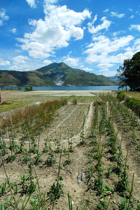 di pinggir desa pangururuan