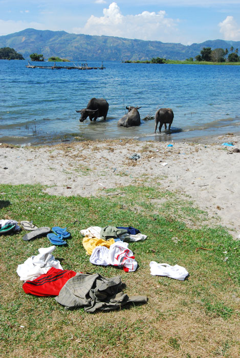 di pinggir danau, liat baju anak2 yang jadi penggembala kerbau. bajunya dimana, bocahnya dimana, kerbaunya dimana2 hahah