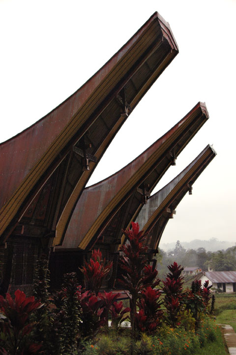 Traditional House Tongkonan