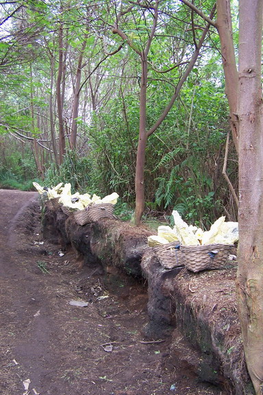 pemiliknya istirahat