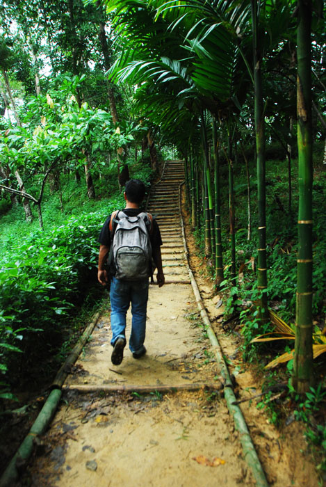 start dari eco lodge hotel. masuk hutannnnn