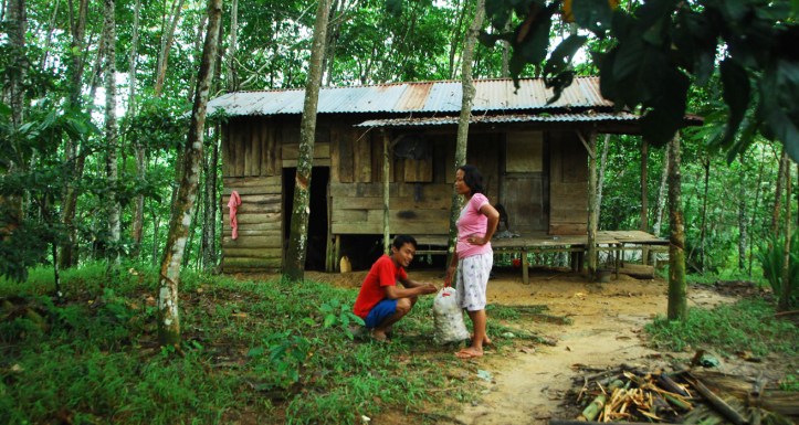 ketemu rumah beginian nih sekitar 1 km dari hutan