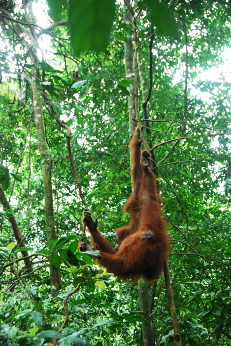masih Sandra yang kesel, liat dia kasih bokongnya
