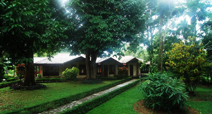 Ecolodge Bukit Lawang