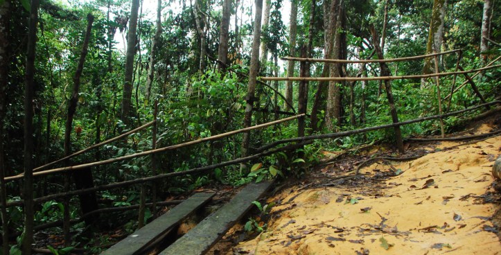 bekas tempat feeding. Tempat feeding berpindah2 setiap 6-8 bulan karena biasanya pohon2 disekitar feeding rusak dihancurkan OU, sehingga harus dicari tempat baru. Setelah 1-2 tahun normal kembali, maka tempat feeding akan kembali ke tempat semula. Itu kenapa banyak banget tempatnya hehe