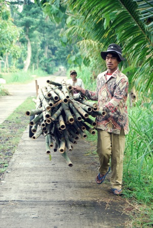 petani bambu