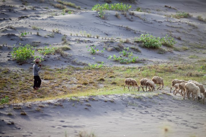 Pic was taken by Lucky