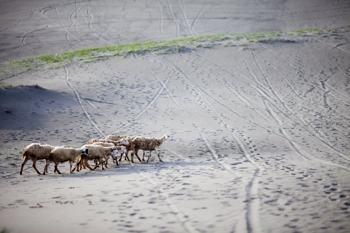 Pic Was taken by Lucky