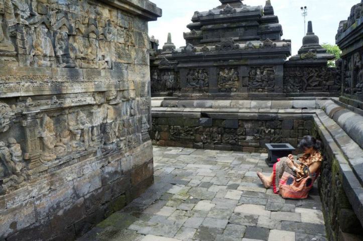 pic was taken by Mr. Nowak