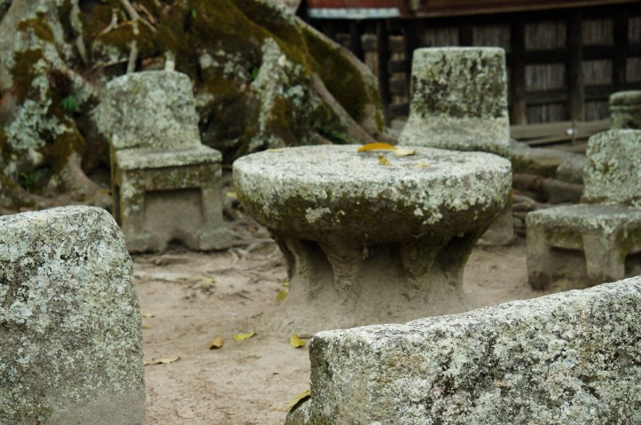 si Meja yang dulunya jadi saksi persidangan dengan pohon tua dibelakangnya