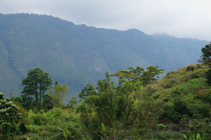 pemandangan disekitaran box bersembunyi