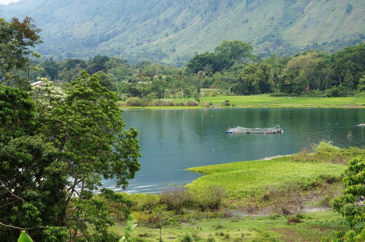 ini juga pemandangannya ketika lagi blusukan