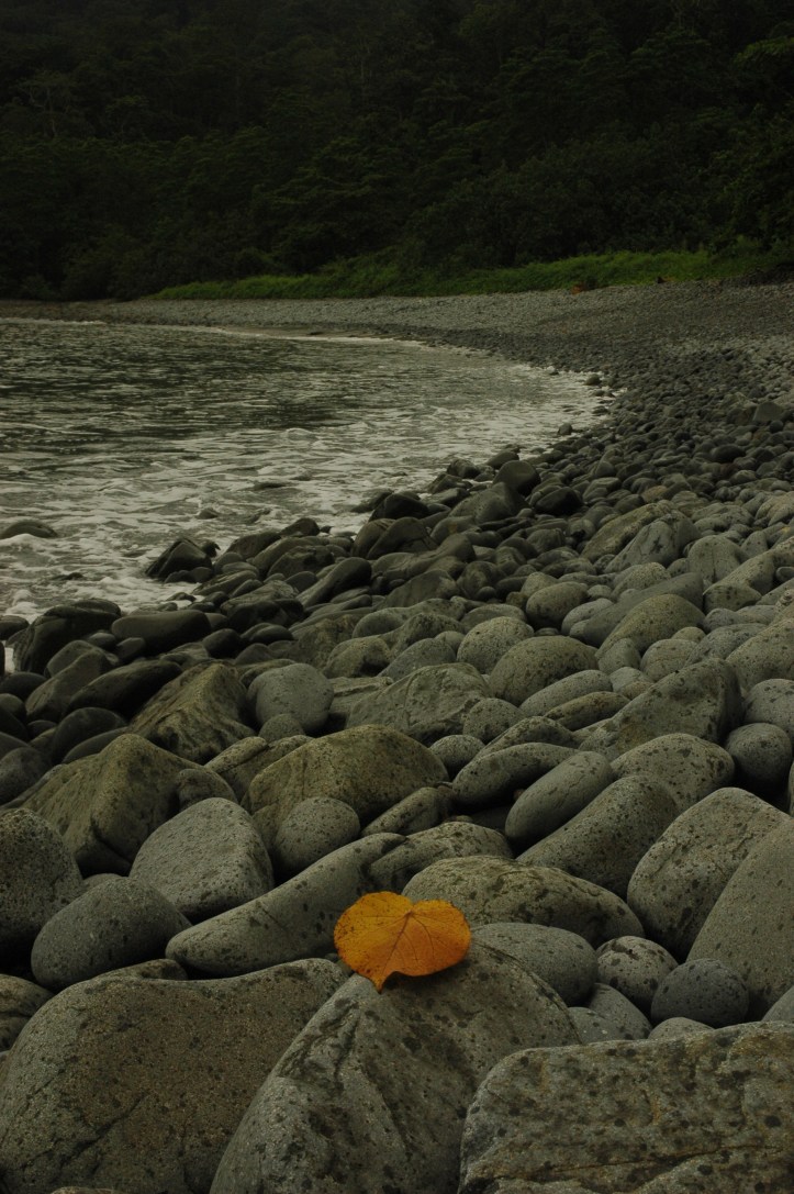 ini teluk batu, isinya yah beginian batu-batu melulu tapi dibalik teluk ini dong baru surga :). Istilahnya harus dihajar dulu baru dapat heaven hehe