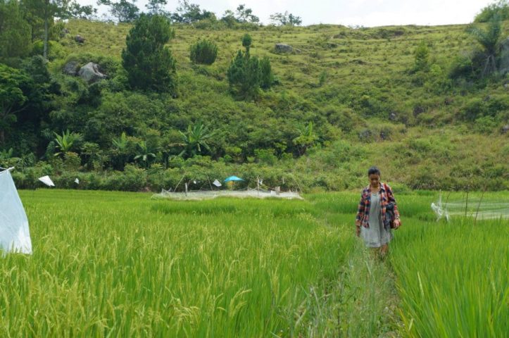 foto was taken by Matt