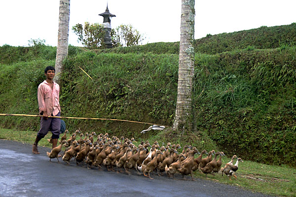 pic pinjem disini www.bugbog.com