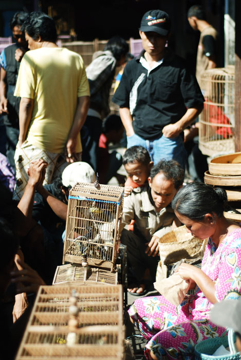 People around Birds market