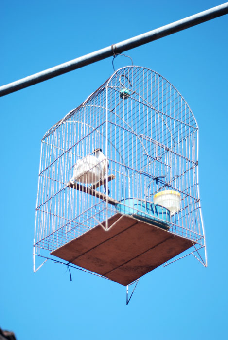 Pengen bebas.........