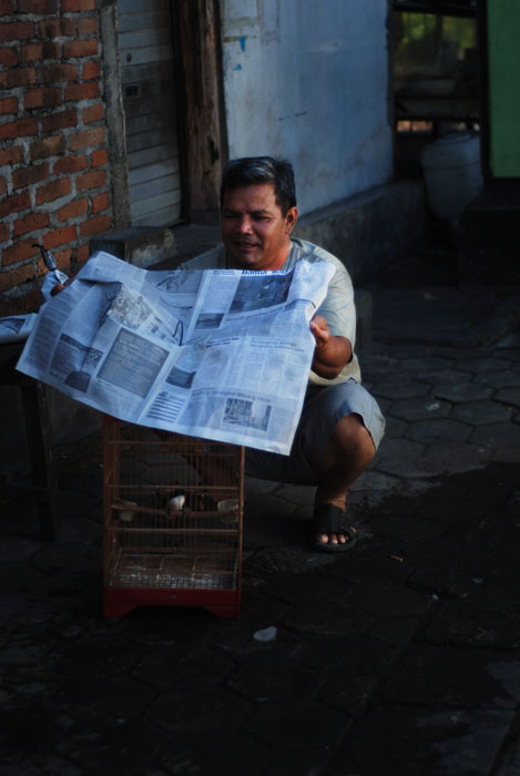People around Birds Market