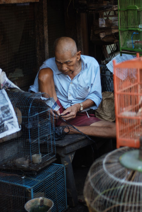 People around birds market