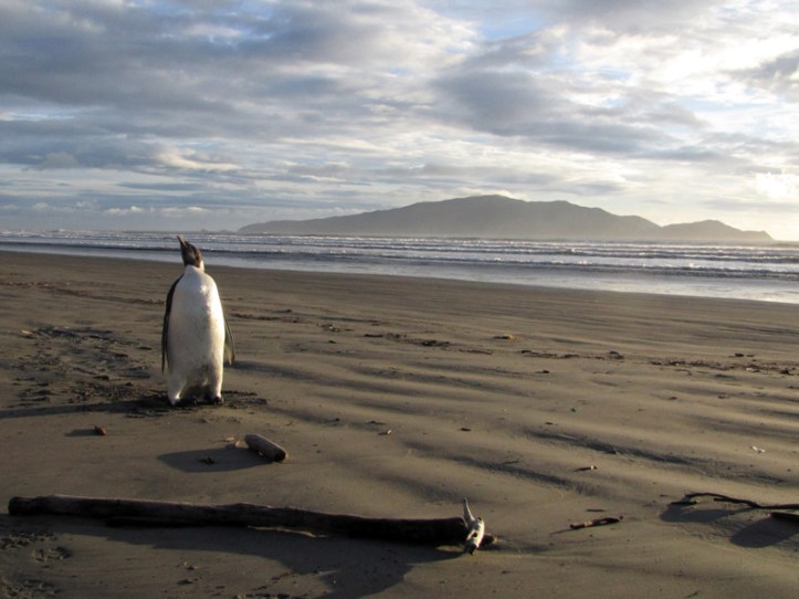 pic dari www.gaptekupdate.com