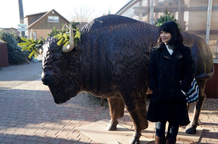 entah kenapa ada patung banteng ini dan si Matt maksa harus foto :)
