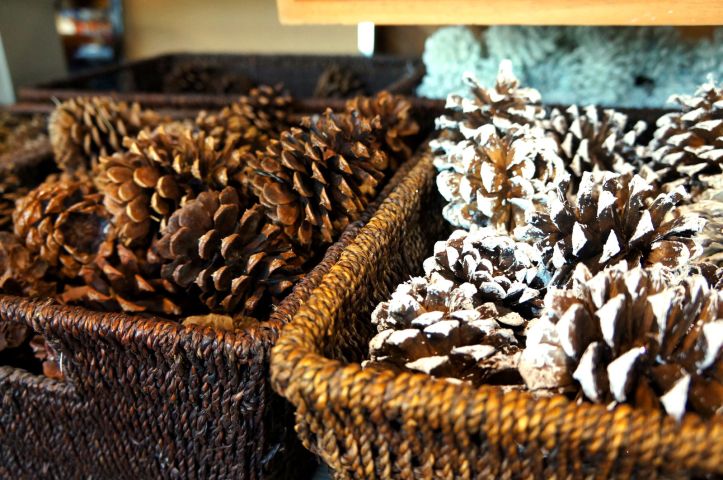 lihat ukurannya gede ya