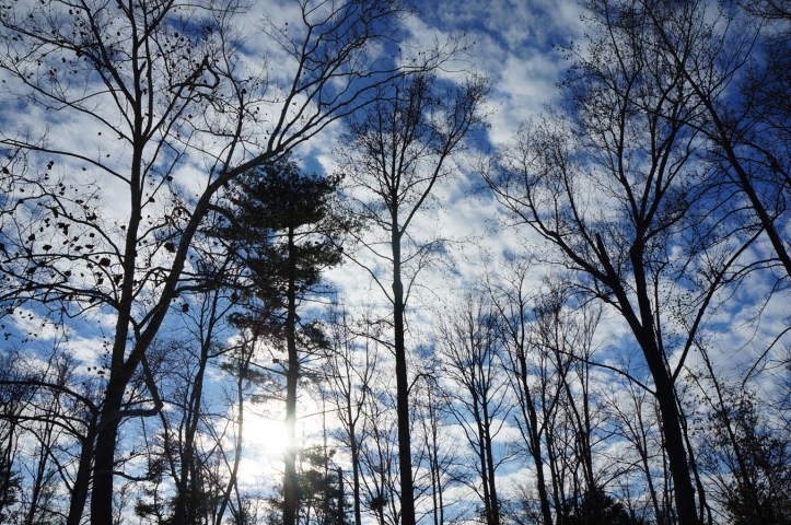 Mangap liat beginian