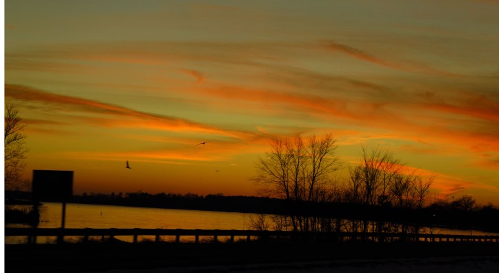 yang agak terang itu danau kecil di pinggir jalan
