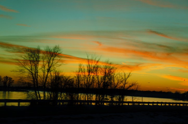 kalo liat ke langitnya ada banyak banget burung terbang