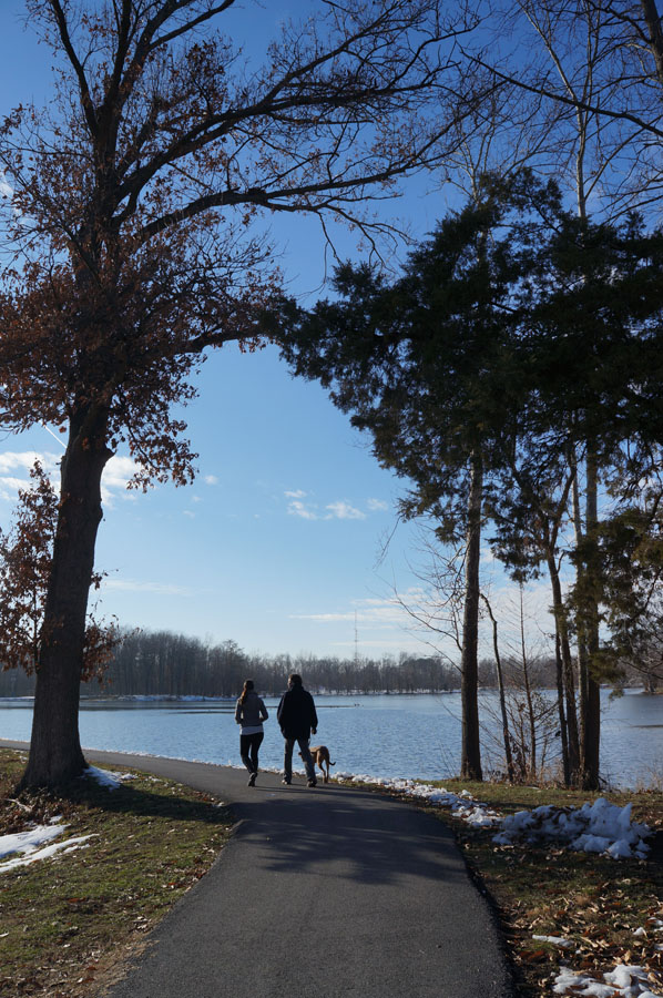 lihat pasangan yang bawa anjingnya jalan-jalan
