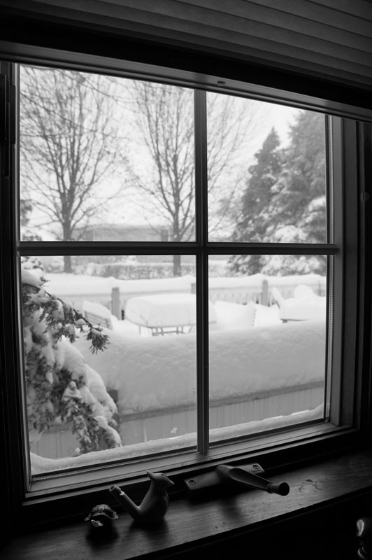 Dari jendela dapur pagi tadi