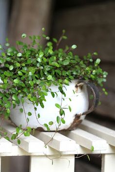 lucu banget yaaa. ini juga di comot dari pinterest