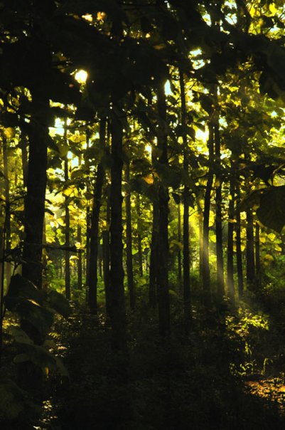 2622_57586438201_5390311_n