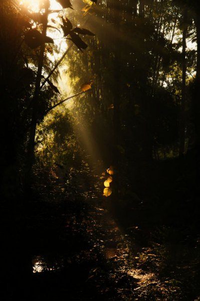 2622_57586443201_5500268_n