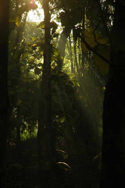 2622_57586453201_7349440_n