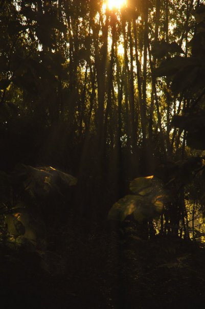 2622_57586458201_1964545_n