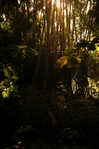 2622_57586463201_2385577_n